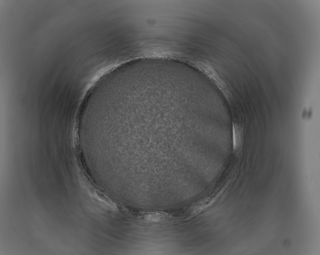 X0000090770579200708031654