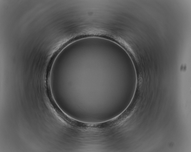 X0000090770581200708031654