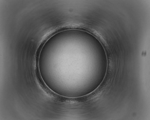 X0000090770582200708031654