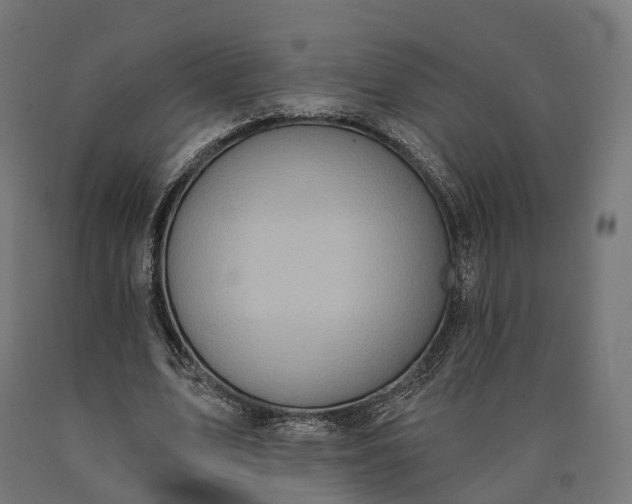 X0000090770583200708031654