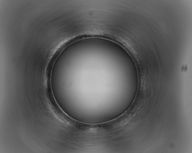 X0000090770584200708031654