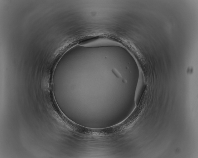 X0000090770585200708031654