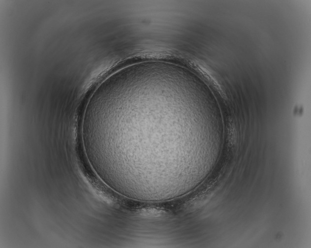 X0000090770586200708031654