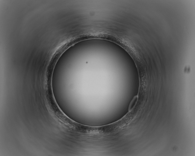 X0000090770587200708031654