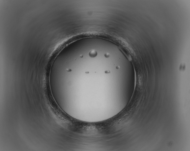 X0000090770588200708031654