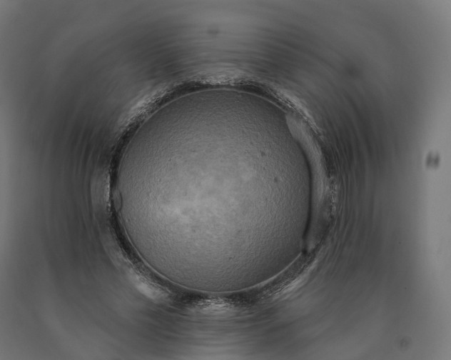 X0000090770589200708031654