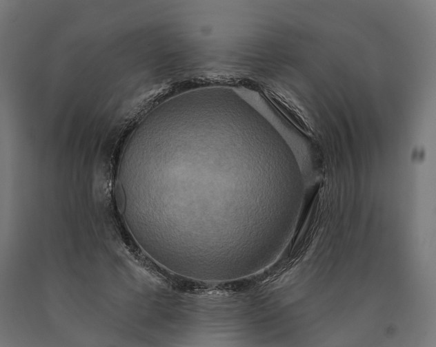 X0000090770593200708031654