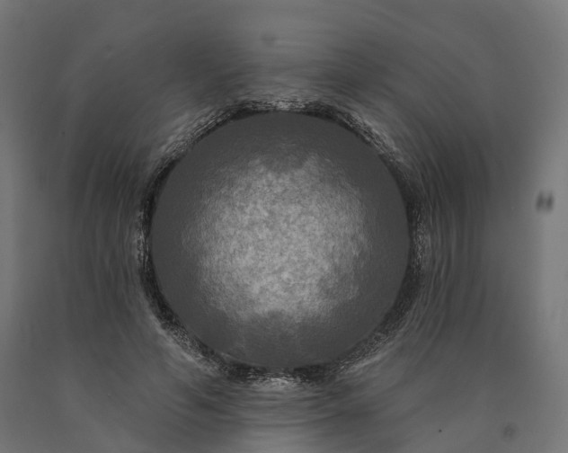 X0000090770594200708031654