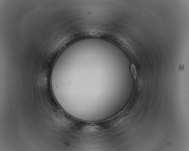 X0000090770595200708031654
