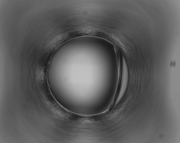 X0000090770597200708031654