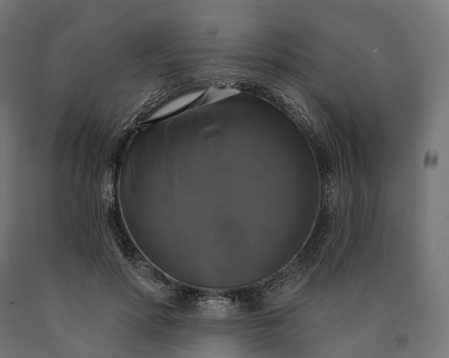 X0000090770598200708031654