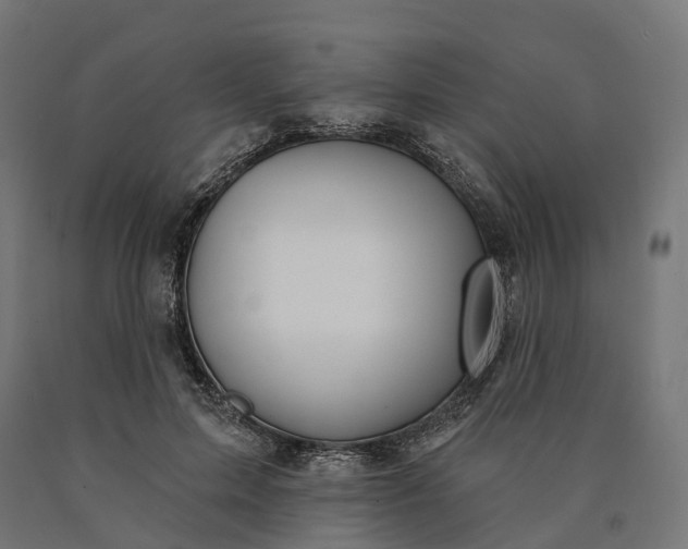 X0000090770599200708031654