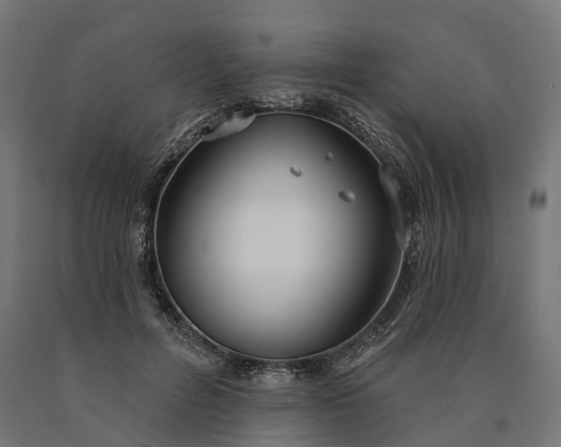 X0000090770600200708031654
