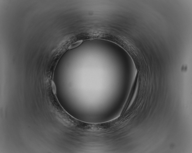 X0000090770601200708031654