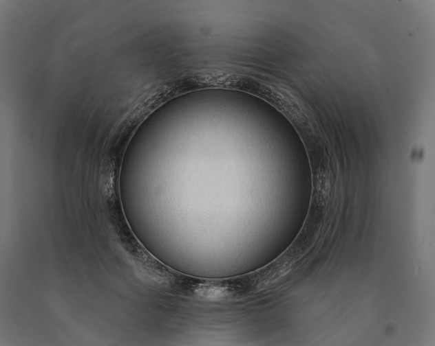 X0000090770602200708031654