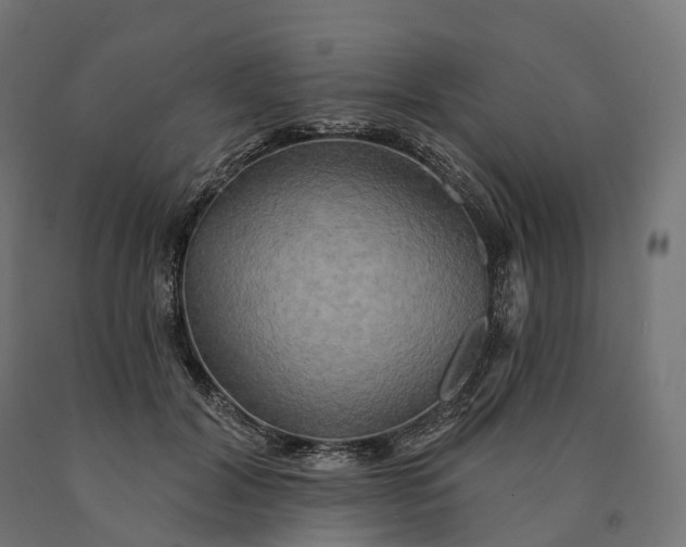 X0000090770604200708031654