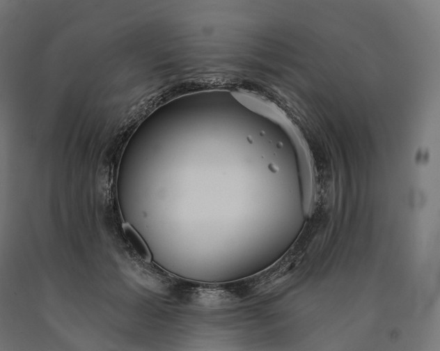 X0000090770605200708031654