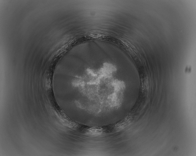 X0000090770606200708031654
