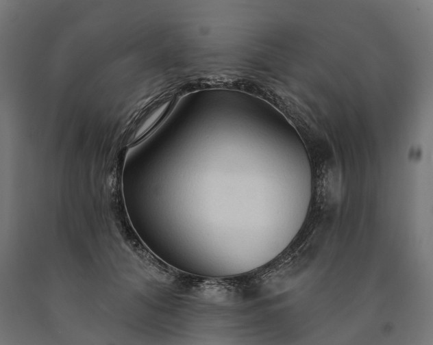 X0000090770608200708031654