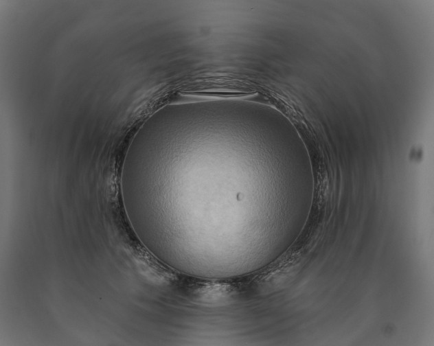 X0000090770609200708031654
