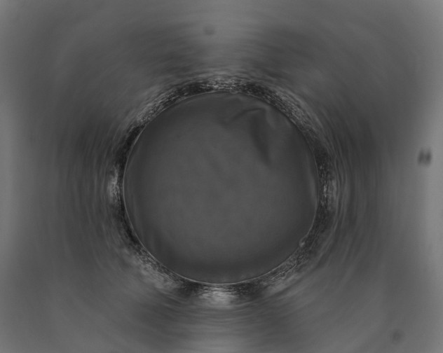 X0000090770610200708031654