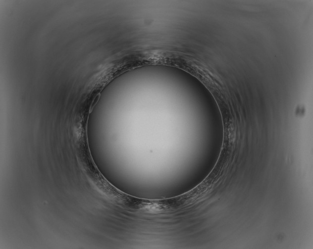 X0000090770611200708031654