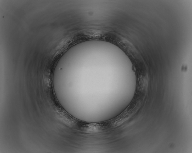 X0000090770612200708031654