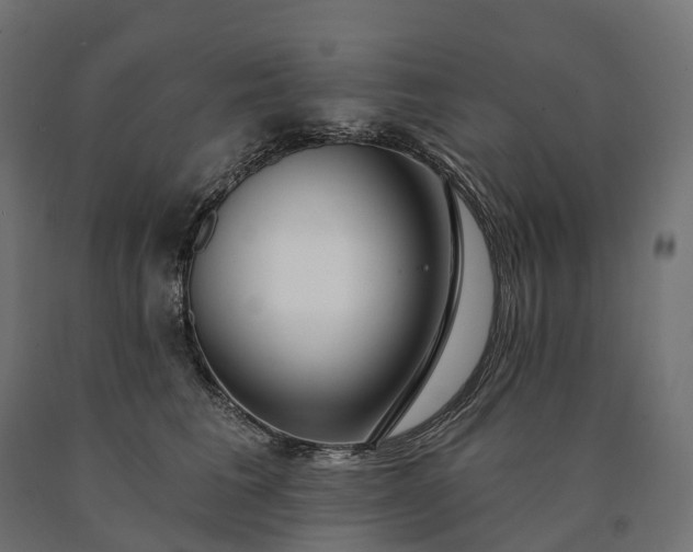 X0000090770613200708031654