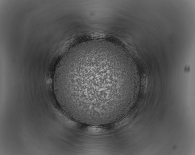 X0000090770614200708031654