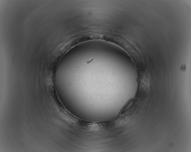 X0000090770616200708031654