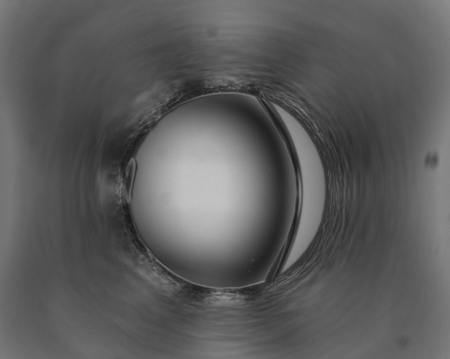 X0000090770617200708031654