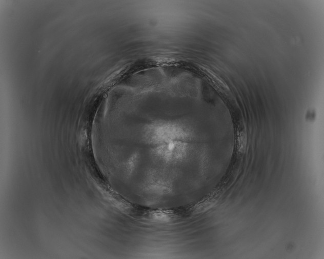 X0000090770618200708031654