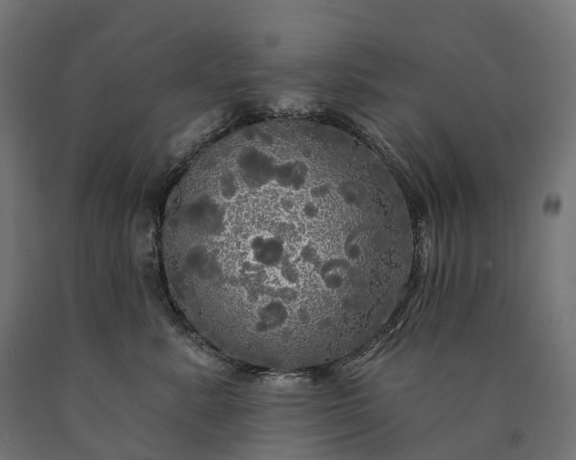 X0000090770619200708031654