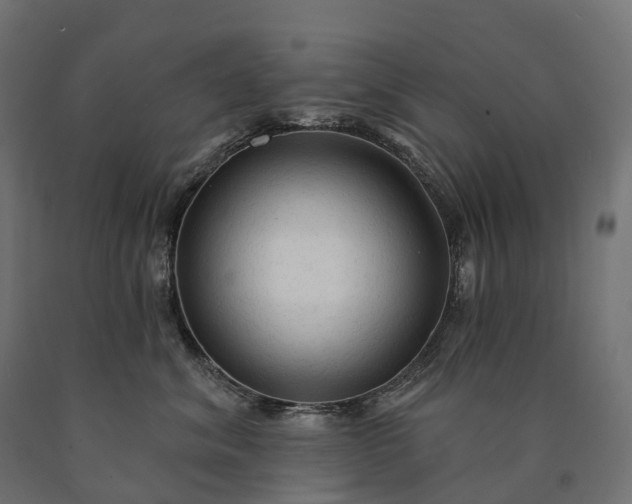 X0000090770620200708031654