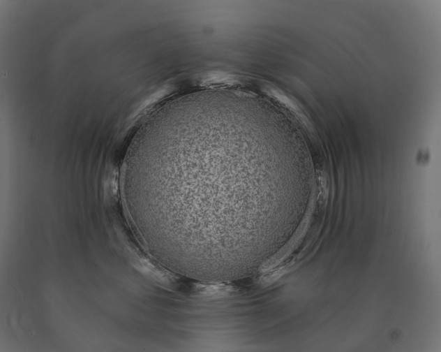 X0000090770621200708031654