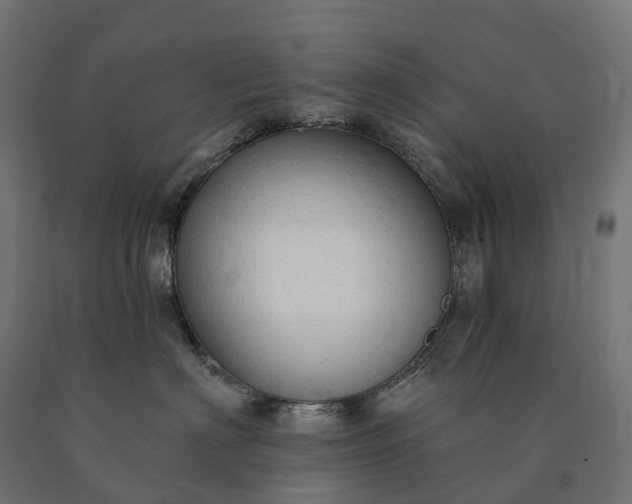 X0000090770622200708031654