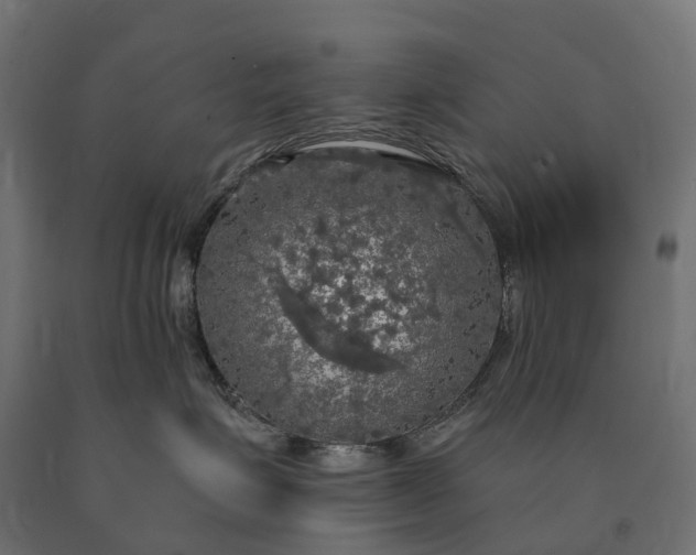 X0000090770623200708031654