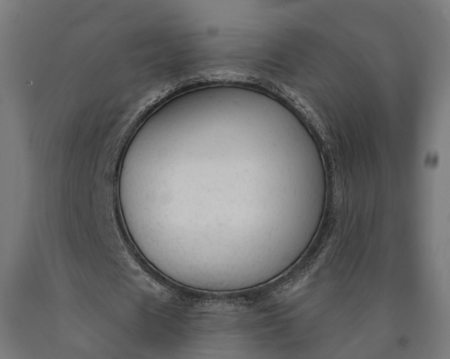 X0000090770625200708031653