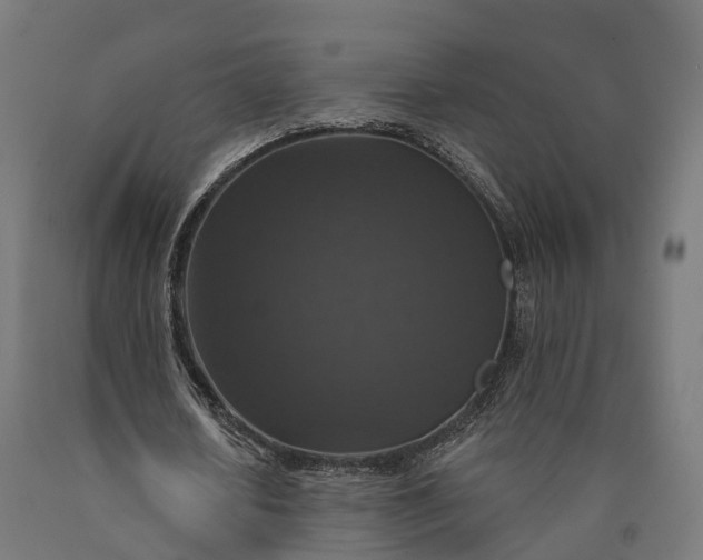 X0000090770626200708031653