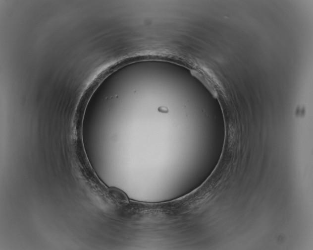 X0000090770628200708031653