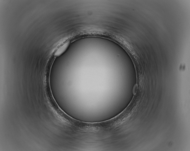 X0000090770629200708031653
