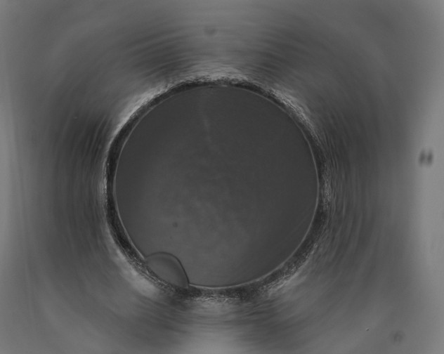 X0000090770630200708031653