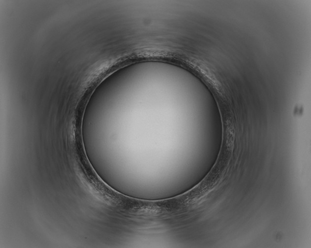 X0000090770631200708031653