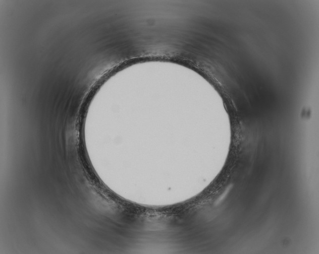 X0000090770632200708031653