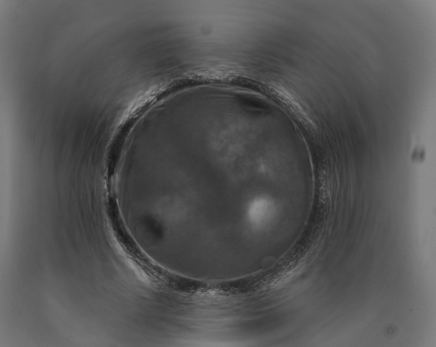 X0000090770634200708031653