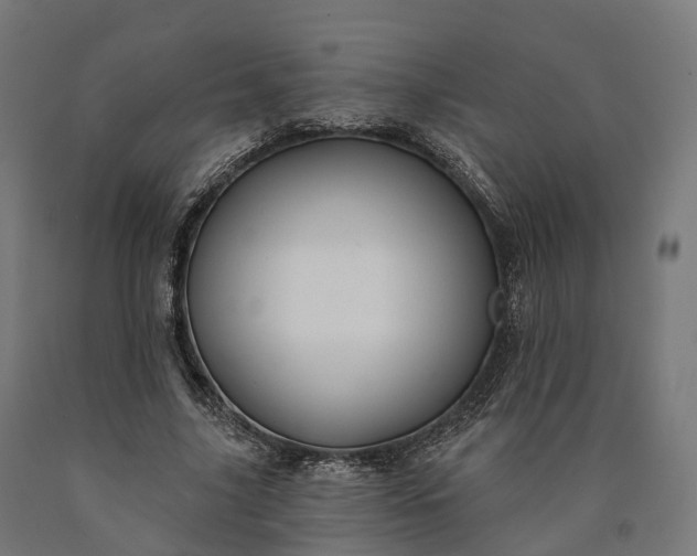 X0000090770635200708031653