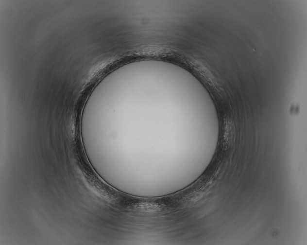 X0000090770636200708031653