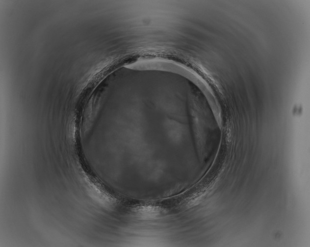 X0000090770637200708031653