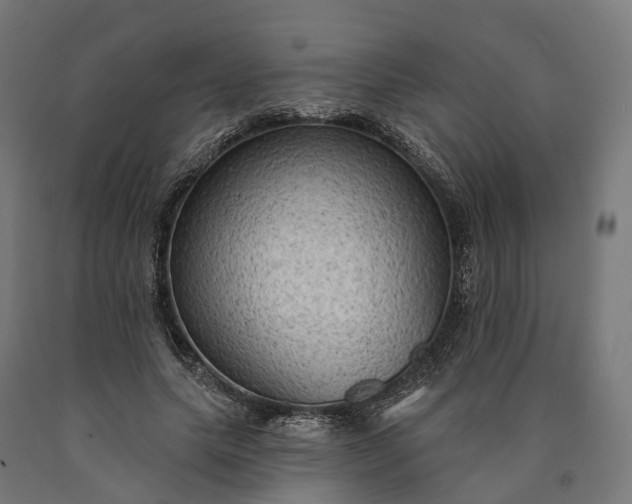 X0000090770639200708031653