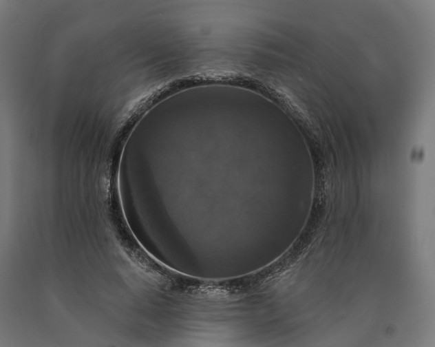 X0000090770640200708031653